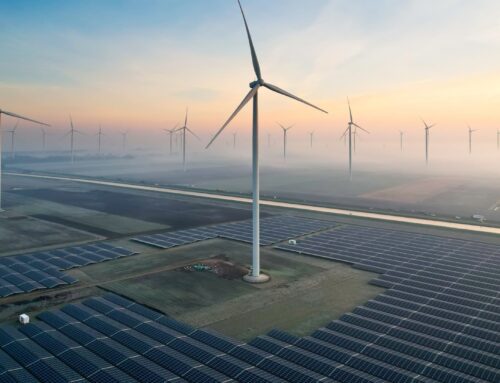 Fossil fuels are a ‘crutch’: How AI’s unlikely winner could be renewable energy