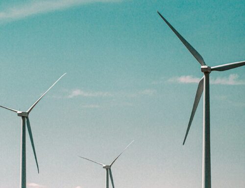 Exus Renewables brings 53 MW of Polish wind projects online under long-term Amazon power a
