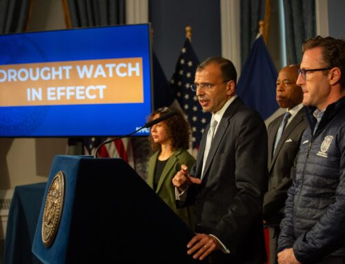 Environmental Protection Chief Rohit Aggarwala to Step Down