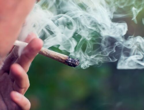 Rising Concerns Over Cannabis Smoking and Lung Health