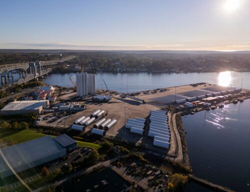 Can Wind Power Survive Trump’s Efforts Against It?