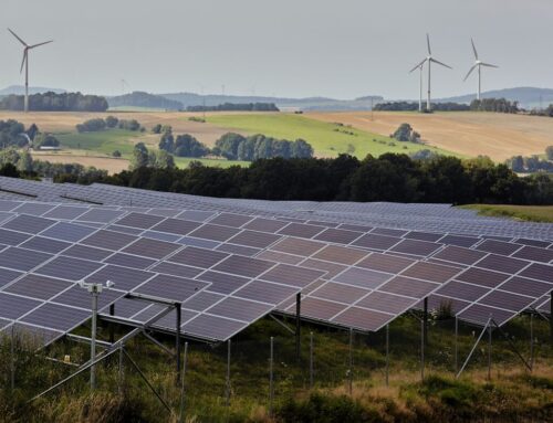 The Smart Money Is Turning Out to Be Green Money