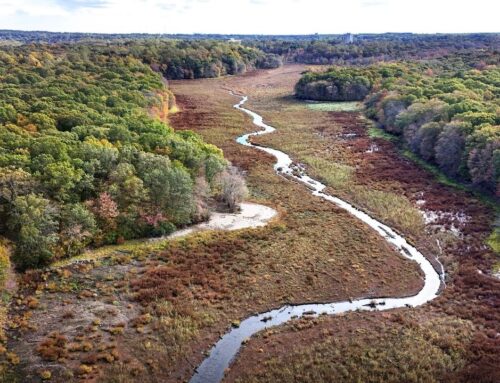Blydenburgh Park dam rebuild can move ahead without environmental review, committee rules
