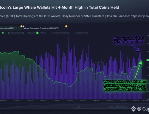 This Bitcoin Whale Behavior Is Making Bears Nervous Again