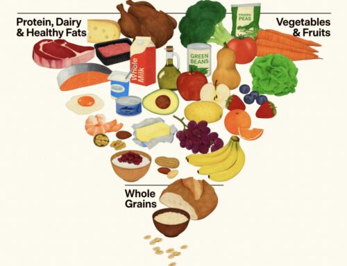 RFK Jr.’s Food Pyramid Could Mean Trouble for Environment