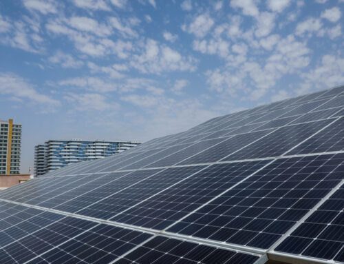 Solar Power in Sulaimani Surpasses 76 Megawatts as Adoption Accelerates