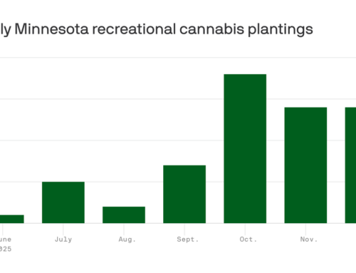 Minnesota retailers have sold $31 million in recreational marijuana since September