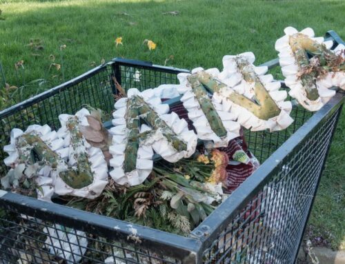 Funeral floral tributes threatened over fears for environment