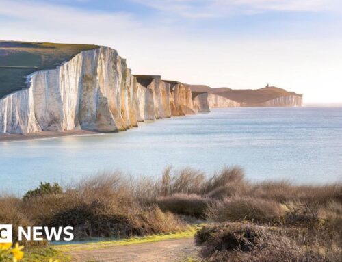South Downs National Park reveals five-year environmental plan