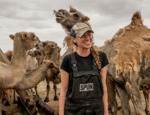 ‘Nobel Prize for Environment’ awarded to specialist in invisible, fascinating and vital my