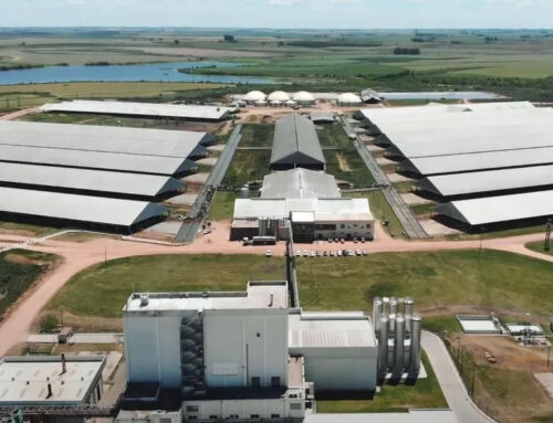 Trafigura signs offtake agreement for advanced sustainable aviation fuel produced from bio