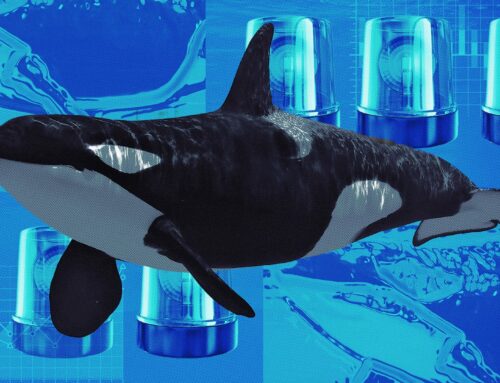 Ethereum whale resurfaces after nine years, moves $145 million in ETH