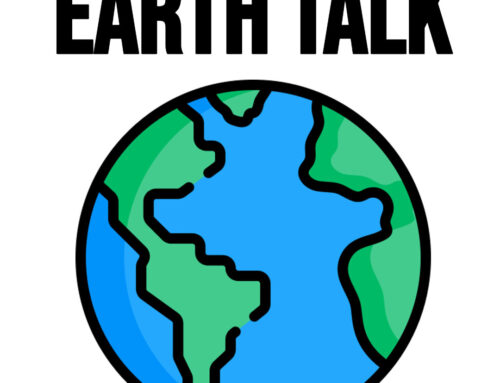 EarthTalk: Is Tidal Power From Ocean Currents a Reliable Renewable?