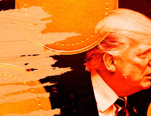 Cathie Wood says US gov’t may ‘start buying’ to stock national bitcoin reserve