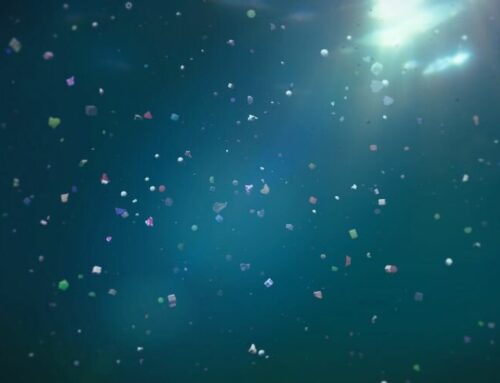 Microplastics and the Future of Water Risk