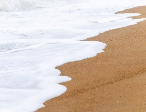 WFW advises Magallanes Renovables on floating renewable platform development