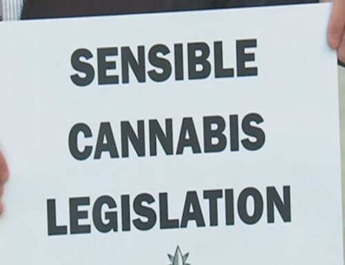 Advocates push for sensible cannabis legislation on opening day of legislative session