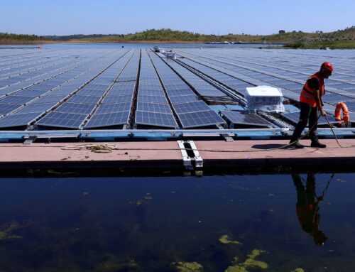 EDP CEO warns EU on lost urgency for energy security, renewables push