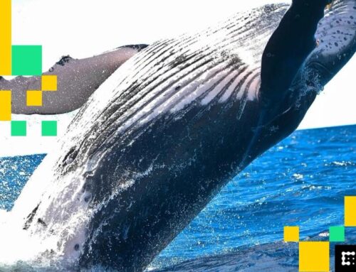 Bitcoin whale wakes up after 12 years to move $84 million fortune
