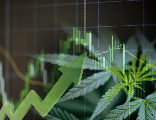 TLRY vs. CGC: Which Cannabis Stock is the Better Investment Now?