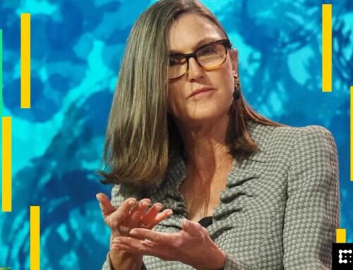 Cathie Wood calls bitcoin ‘good source of diversification’ for investors seeking higher re
