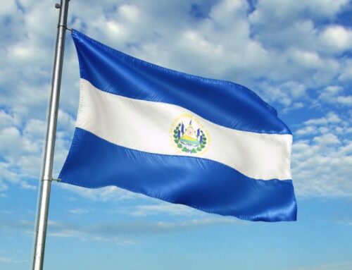 Nayib Bukele and El Salvador buying dips in bitcoin and gold