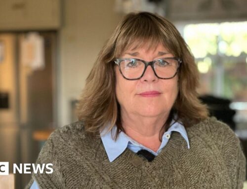 Solar farm plans in East Yorkshire and Lincolnshire face critics