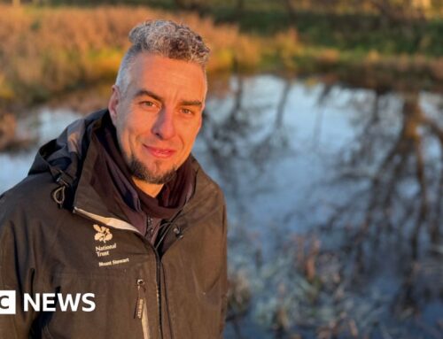 NI environment: The nature surprise behind the Winterwatch tepee