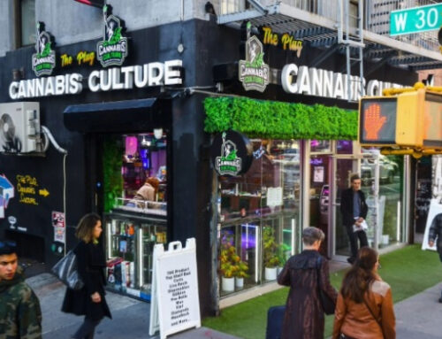 The marijuana business grows up as Trump eases the rules