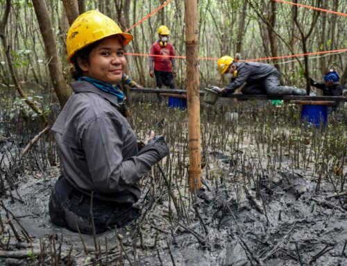 US$52.8 million in new GEF support to boost UNEP-led environmental initiatives worldwide