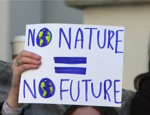 Florida students rally for environmental rights