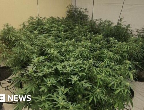 Cannabis farm uncovered in Birmingham after fire at block of flats