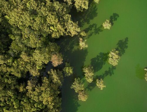 Region’s Top 10 environmental challenges in 2026