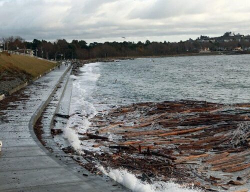 Environment Canada lifts coastal flooding bulletin for southern B.C.
