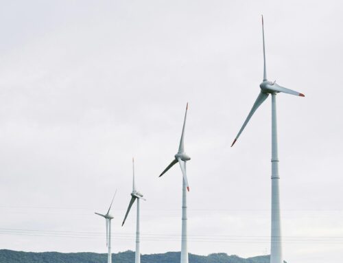 Poland’s 32 MW Lubień wind farm awards turbine contract to Vestas, with rollout in 2026 an