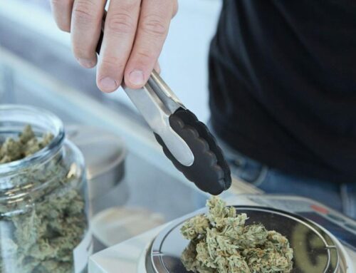 Cannabis prices reach record lows as retailers “race to the bottom”