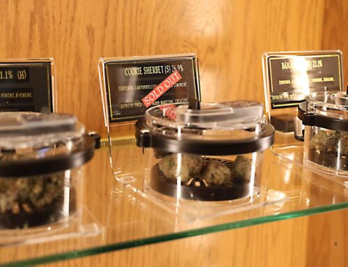 Cannabis cash keeps rolling in