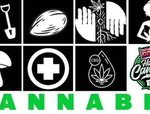 Hawaii Cannabis Expo returns to Blaisdell Exhibition Hall