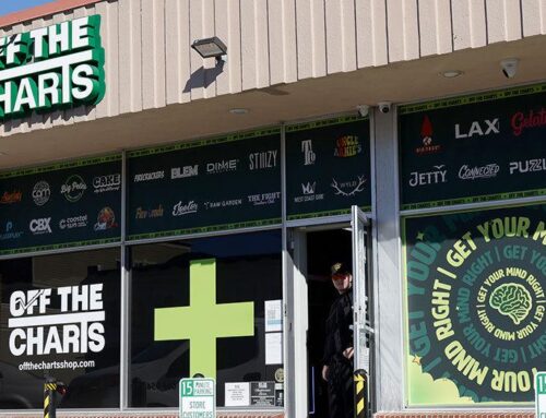 As companies vie for P.G.’s single cannabis license, the competition may not be as fierce