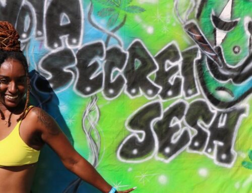 Nola Secret Sesh album turns cannabis-focused parties into a collaborative soundtrack