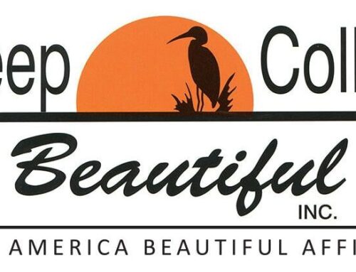 Volunteers Needed for Collier County Community Litter Index Report