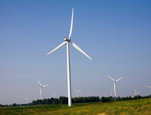 Blue states blow nothing but hot air on wind-power boondoggles