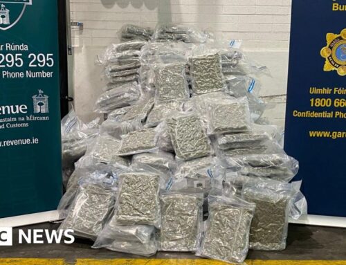 Louth: Gardaí seize cannabis worth more than €10m