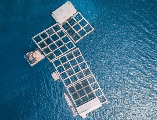 CHN Energy brings 1 GW floating solar mega-project fully online in China
