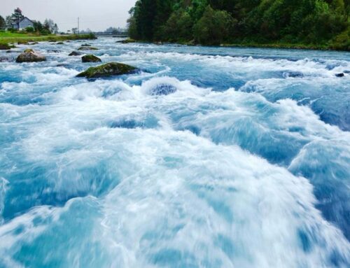 Bitcoin (BTC) ETFs pull in $750 million in strongest day since October