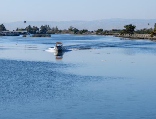 Heated debate over California water plan as environmentalists warn of ‘ecosystem collapse’