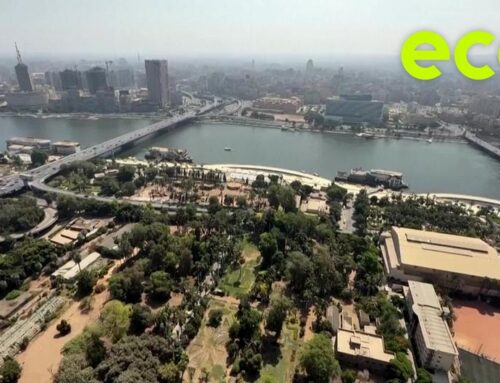 Making big cities more livable – Green ideas for urban life