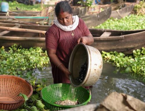 Kerala’s Vembanad Lake: Averting an ecological crisis