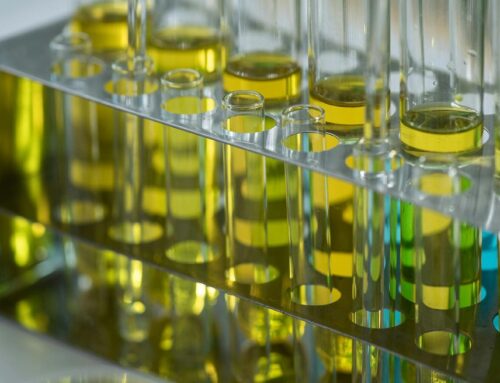 Inner Mongolia Yide Hydrogen Energy moves ahead with plans for a 350,000-ton green methano