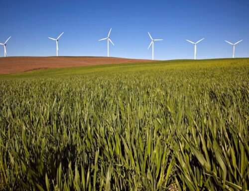 Oregon electric utilities have strict green-power deadlines. Their odds of hitting them ke